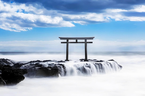 Tokyo & Ibaraki Tour: Hitachi Seaside Park & Adachi Wisteria