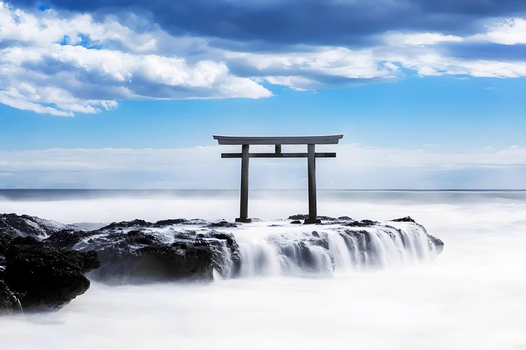 Tokyo & Ibaraki Tour: Hitachi Seaside Park & Adachi Wisteria