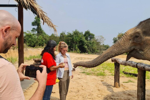 Rundtur i Kambodjas elefantreservat och Banteay Srey-templet