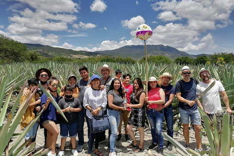 Mezcal Oaxaca : Visite, gastronomie et dégustation de mezcalMEZCAL OAXACA : VISITE, GASTRONOMIE ET DEGUSTATION DE MEZCAL