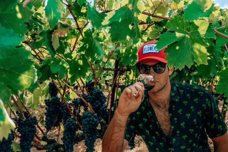 From San Francisco: Ultimate Napa Wine Country Experience