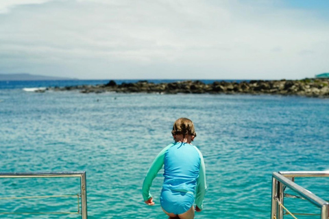 Ka'anapali Beach: Schnorcheln am Korallenriff und Schildkröten beobachten