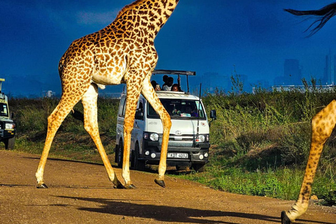 Nairobi: Sunrise Safari with Bush Breakfast At NNP