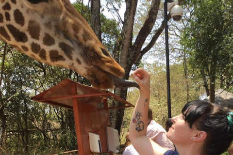 Giraffe center,Karen Blixen Museum and Beads factory tour