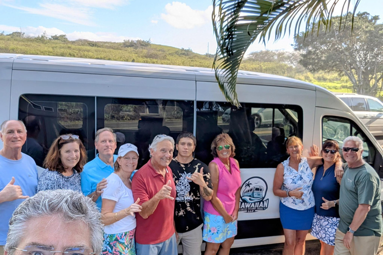 From Waikiki: Oahu Scenic Half-Day Circle Island Tour