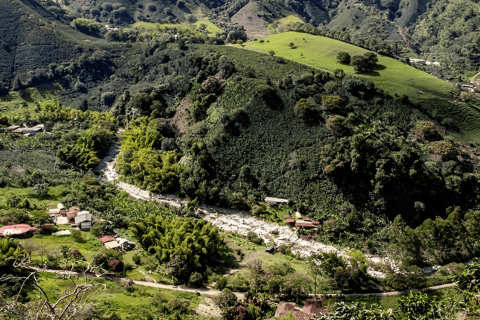 MEDELLIN: DAWN GARDEN TOUR WITH VISIT TO BETANIA - 2 DAYS AND 1 NIGHT