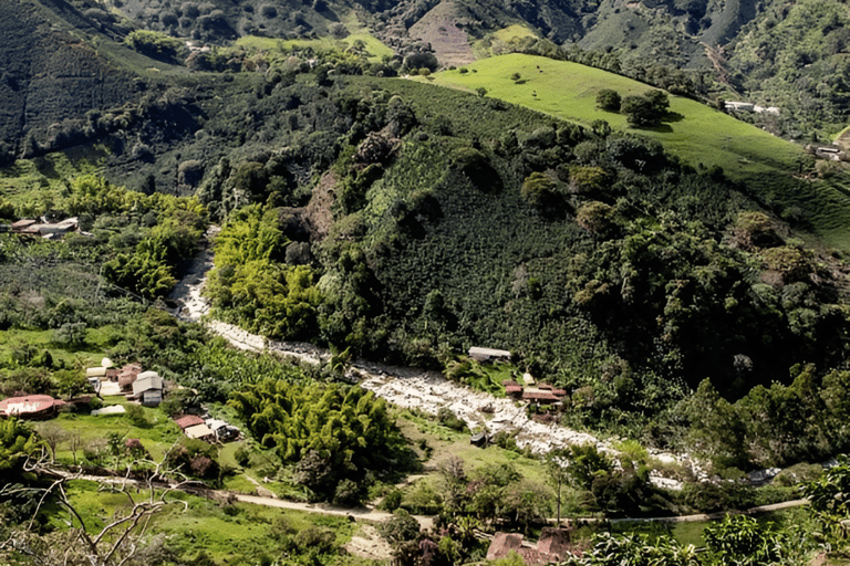 MEDELLIN: DAWN GARDEN TOUR WITH VISIT TO BETANIA - 2 DAYS AND 1 NIGHT