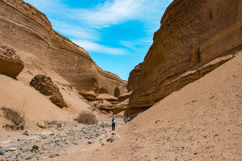 Journée complète au canyon de Los Perdidos à IcaDepuis Ica : Journée complète au canyon Los Perdidos à Ica