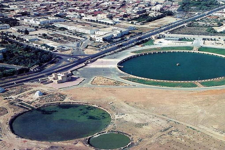 Le Grand Tour de Tunisie : immersion locale entre mer et désert