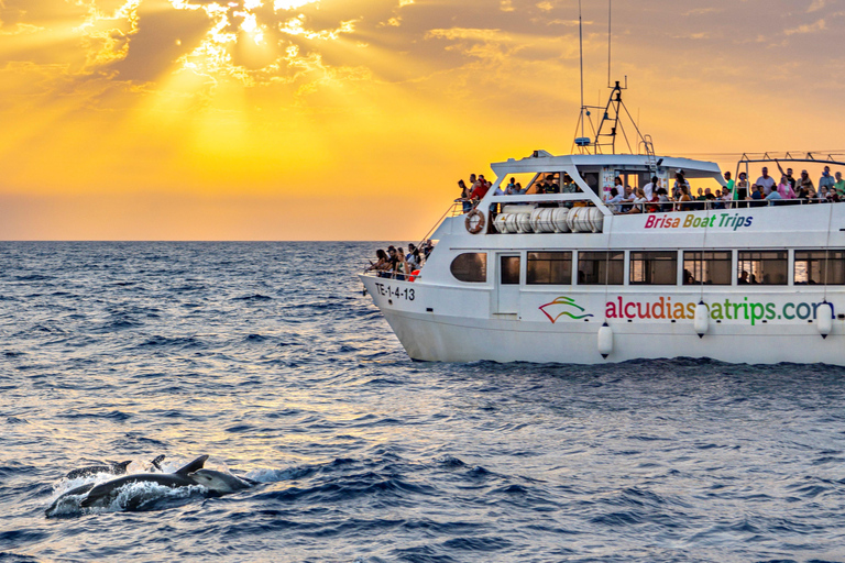 Port d&#039;Alcudia : lever de soleil en mer et tour en bateau pour observer les dauphins