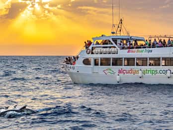 Port d'Alcudia: Soloppgang til sjøs og båttur med delfinkikkere