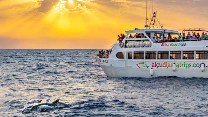 Port d'Alcudia: Amanecer en el Mar y Excursión en Barco para Avistar Delfines