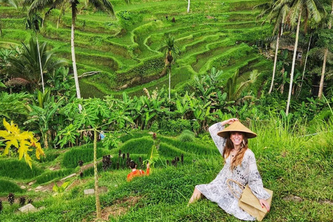 Ubud: Waterfalls, Water Temple, Rice Terrace, Private tours tour without entrance ticket - private tour