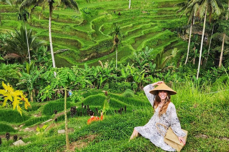 Ubud: Waterfalls, Rice Terrace & Bali Swing, Private Tour Tour With All Entrance Tickets - private tours