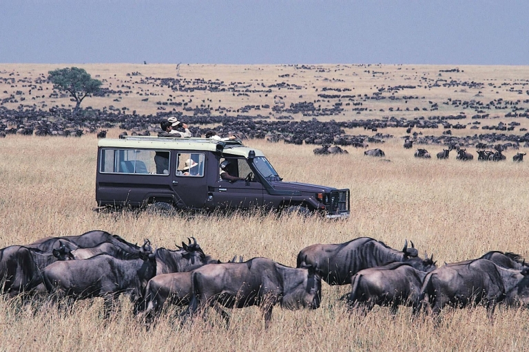7-dniowe luksusowe safari Best of Tanzania z dziką przyrodą