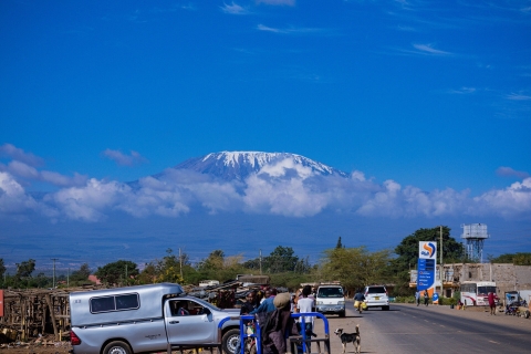 Excursion d'une journée au Kilimandjaro