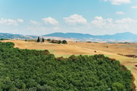 Val d'Orcia, tournée de dégustation de fromage et de vin de Florence - Housity