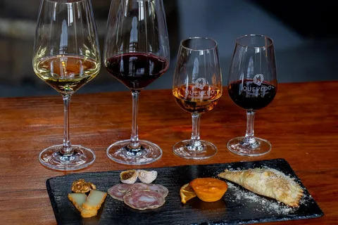 Vila Nova de Gaia: esperienza di abbinamento gastronomico del vino Porto