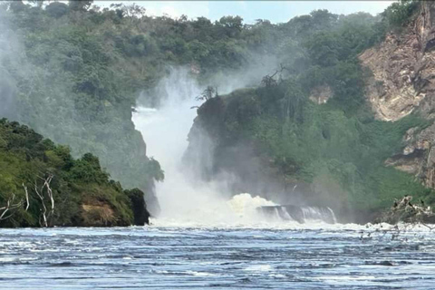 Uganda: Safari de 2 dias no Parque Nacional das Cataratas de Murchison e Big 5