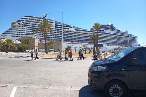 One day tour from Cruise Ship - Port La Goulette