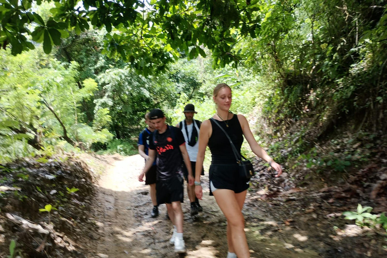 Minca: Ancestral encounter with the Wiwa community, viewpoint, and hidden waterfall Minca: Ancestral Wiwa Community, Viewpoint, and Hidden Waterfall