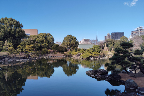 Tokio: Kiyosumi, Hama-Rikyu en Kyu-Yasuda Tuin Tour