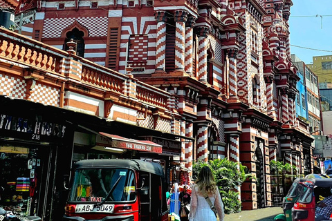 Colombo Luxury High Tea Day Tour From Negombo All-Inclusive