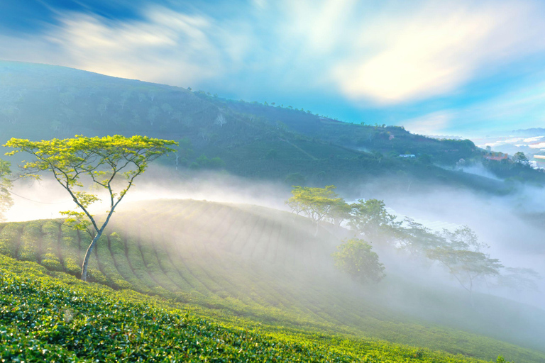 Découvrez le meilleur de la campagne de Dalat (voiture privée)