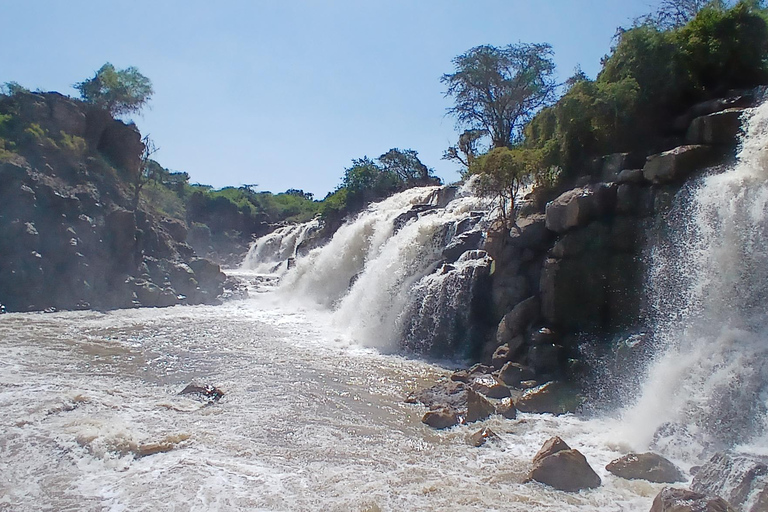5-tägige Safari-Tour durch Awash und die Danakil-SenkeAddis Abeba: 5-tägige Safari-Tour durch Awash und die Danakil-Senke
