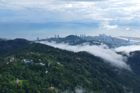 Penang: Private Highlights Tour with Temples, Hill & Gardens
