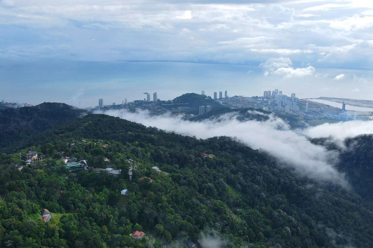 Penang: Private Highlights Tour with Temples, Hill & Gardens