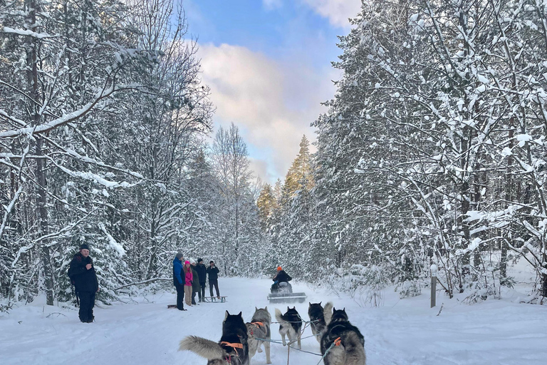 Husky sleeën &amp; Uitzicht op het bos: Onvergetelijk avontuur in Riga