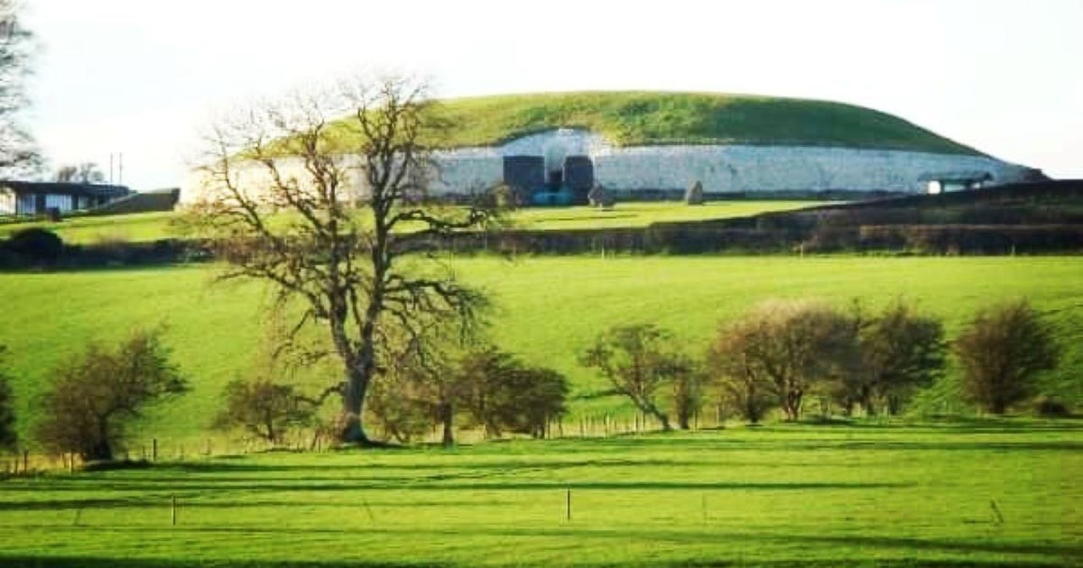 From Dublin Newgrange, Trim Castle and Hill of Tara GetYourGuide