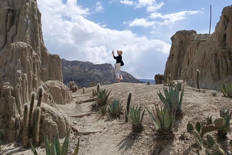 Visite d'une demi-journée Valle de las animas, vallée de la lune, killi killi