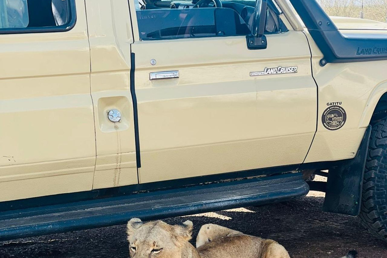 Halvdagsutflykt till Nairobis nationalpark med upphämtning från hotell