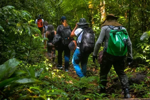 Santos: Caminhada na Cachoeira e Passeio de Barco na Mata Atlântica