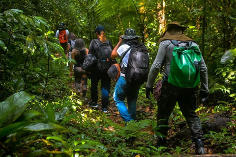 Santos: Waterfall Hike and Boat Ride at the Rain Forest from Santos: Waterfall Hike and Boat Ride at the Rain Forest