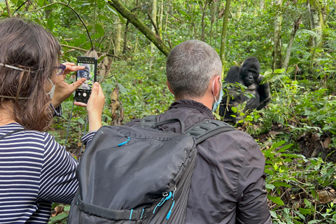 1 Daagse Oegandese Gorilla trektocht vanuit Kigali, Rwanda