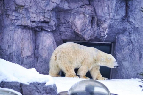 Sapporo: Asahiyama Zoo and Blue Pond Day Trip