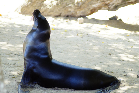 Isola delle Galapagos; tour naturalistico