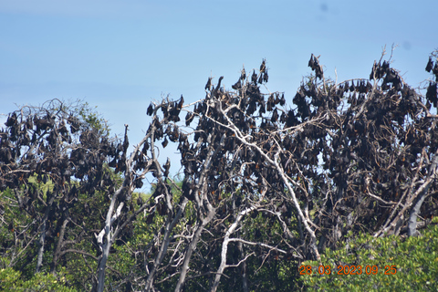 Labuan Bajo: Flores Island & Komodo National Park Tour