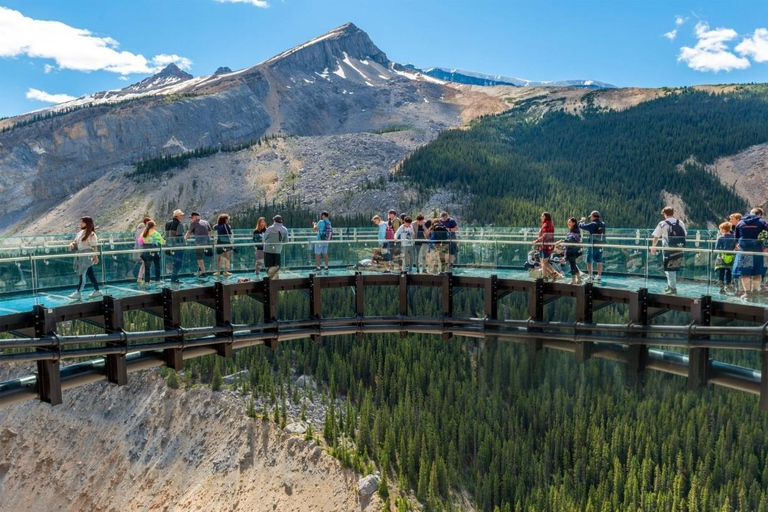 Calgary/Banff : Columbia Icefield, Skywalk, Crowfoot & lakes