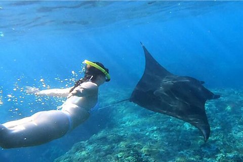 Nusa Penida: Private Full-Day Tour with 4 Route Options Snorkeling & West Nusa Penida Tour with Bali Hotel Pickup