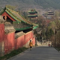 Zhengzhou, tour guidato privato/trasferimento nel tempio di Shaolin - Housity