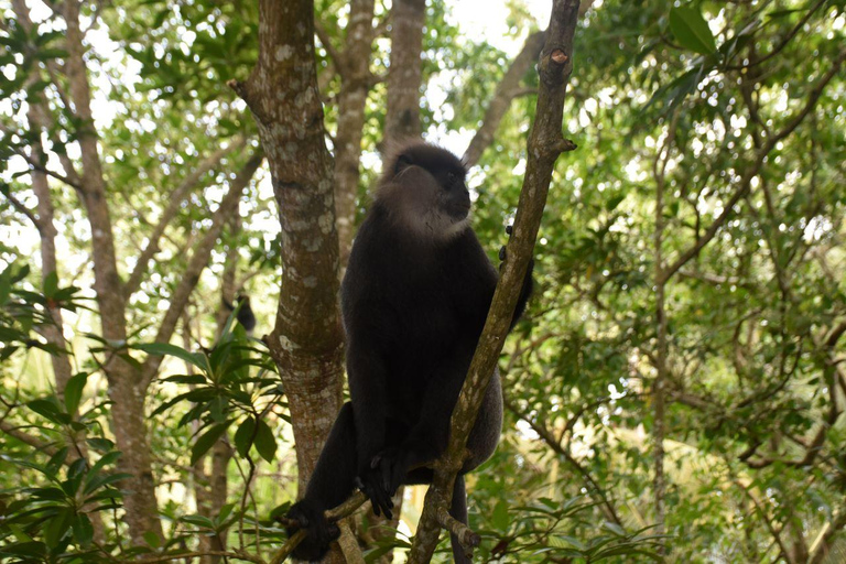 Mangrove Boat tour and watersports in Bentota Mangrove boat tour and watersports in Bentota