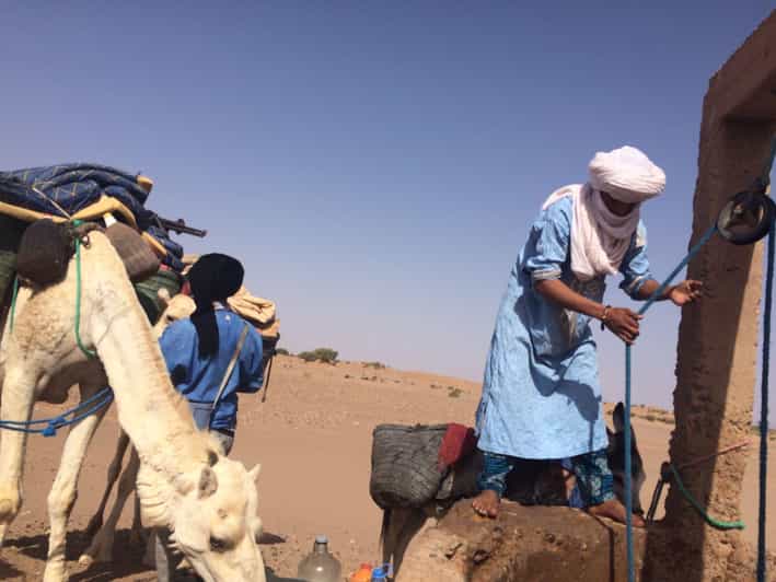Mhamid : Découvrez la route des anciennes caravanes dans le Sahara - bivouac
