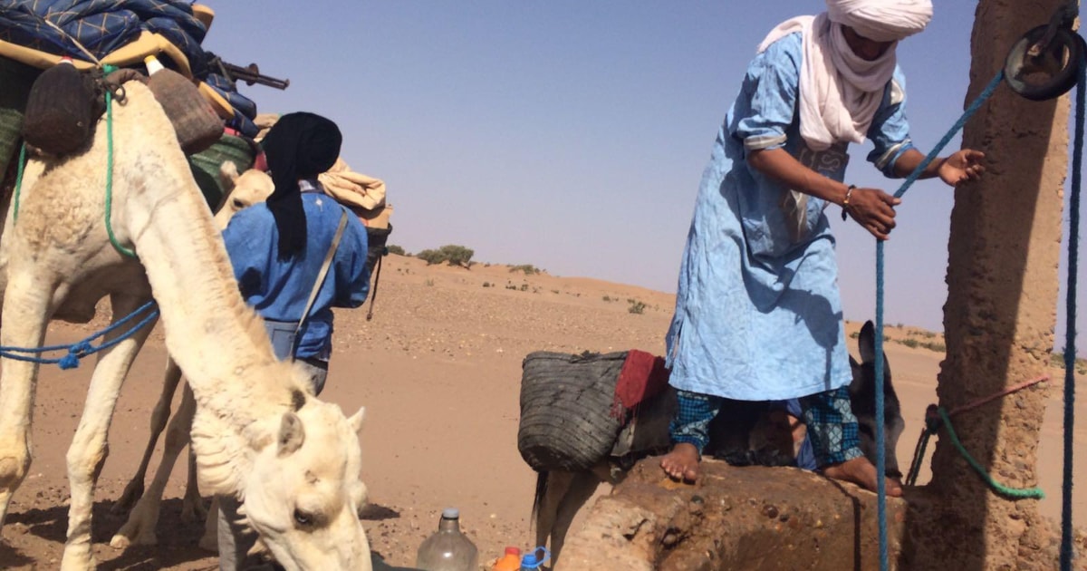 Mhamid Erlebe die Route der alten Karawanen in der Sahara GetYourGuide