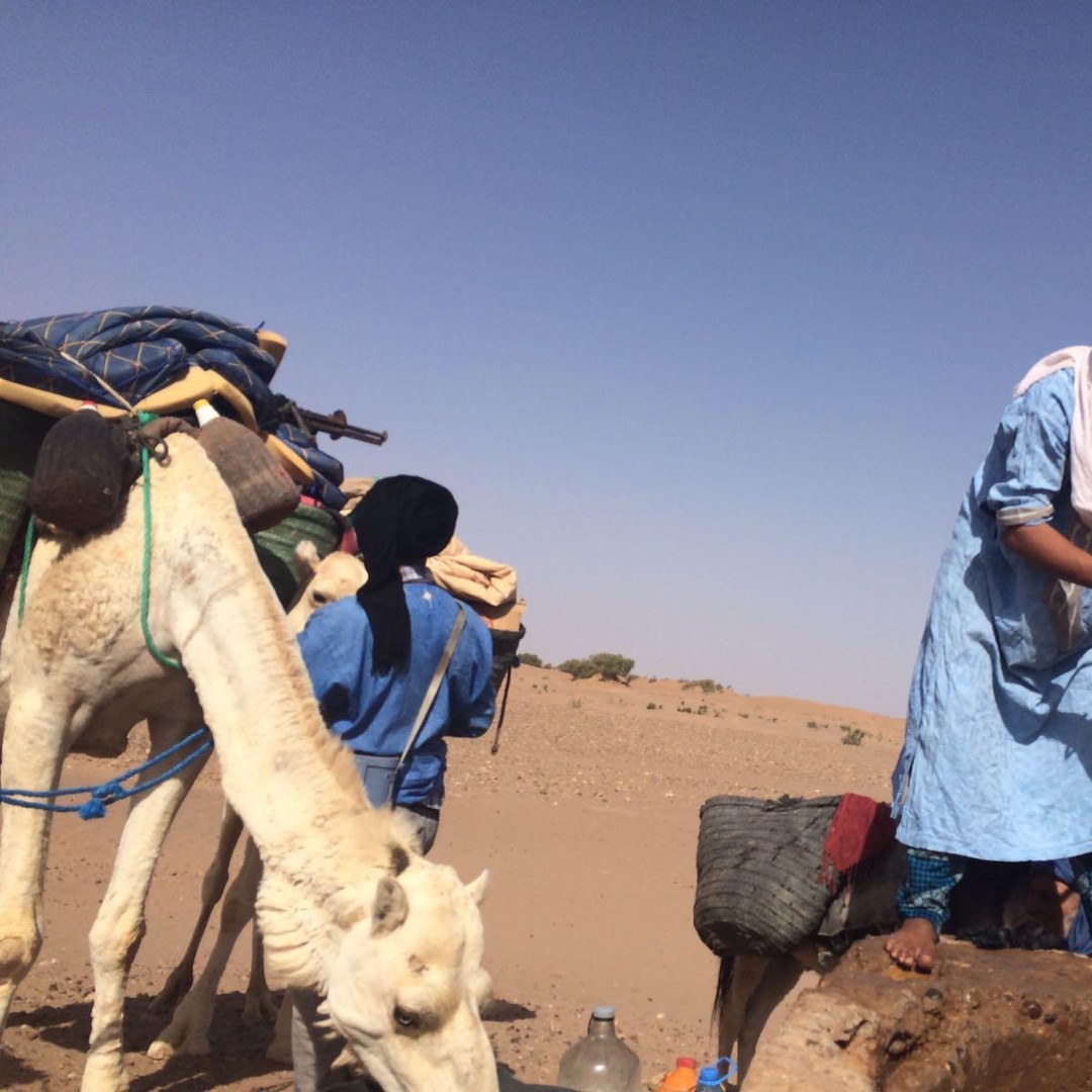 Mhamid : Découvrez la route des anciennes caravanes dans le Sahara - bivouac