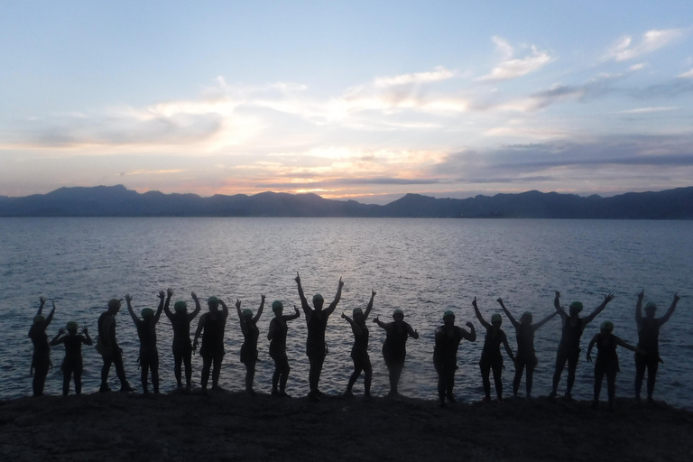 مايوركا: الساحل الشمالي