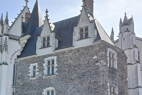 Nantes: 90-minute tour of St. Peter and St. Paul Cathedral with a professional guide